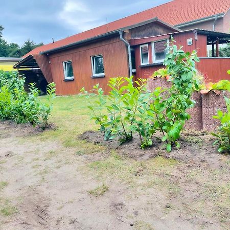 Frohes Wochenende 27 Villa Boltenhagen  Dış mekan fotoğraf